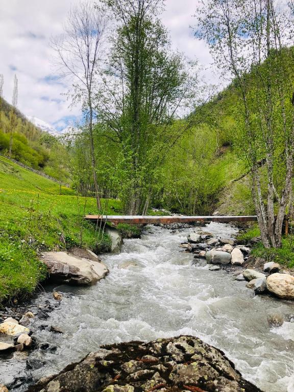 River side SVANETI room 3