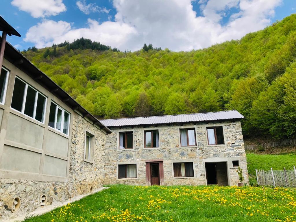 River side SVANETI room 4