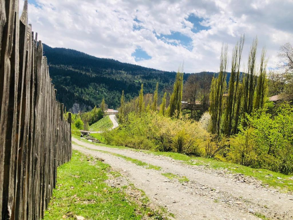 River side SVANETI room 5